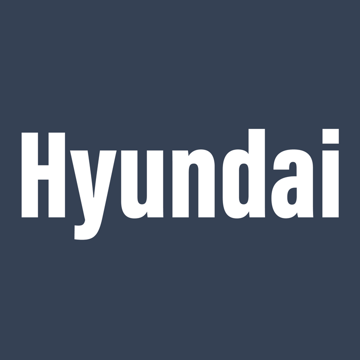 Hyundai subtitle