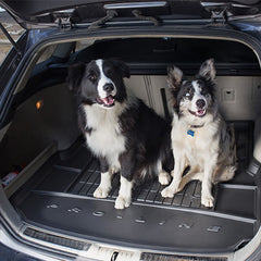 Amazing dogs sitting on Frogum ProLine Boot Tray